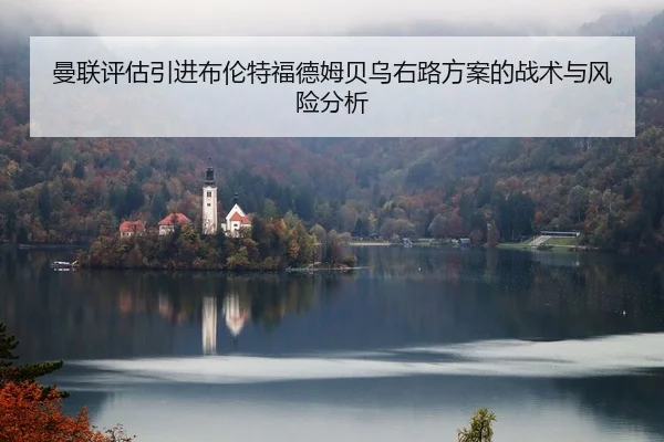 man-lian-ping-gu-yin-jin-bu-lun-te-fu-de-mu-bei-wu-you-lu-fang-an-de-zhan-shu-yu-feng-xian-fen-xi-2-341.jpg