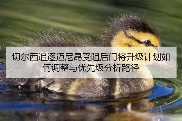 切尔西追逐迈尼昂受阻后门将升级计划如何调整与优先级分析路径