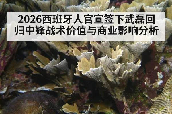 2026西班牙人官宣签下武磊回归中锋战术价值与商业影响分析