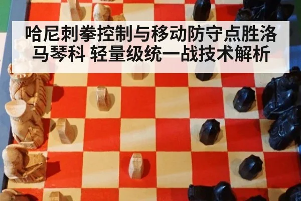 哈尼刺拳控制与移动防守点胜洛马琴科 轻量级统一战技术解析