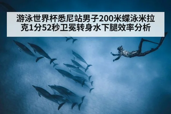 游泳世界杯悉尼站男子200米蝶泳米拉克1分52秒卫冕转身水下腿效率分析